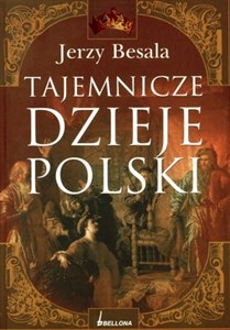 Obrazek Tajemnicze dzieje Polski