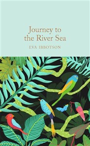 Bild von Journey to the River Sea wer. angielska