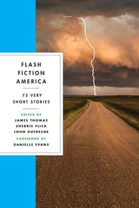Obrazek FLASH FICTION AMERICA