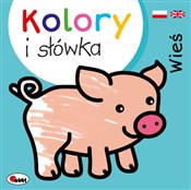 Polska książka : Kolory i s... - Piotr Kozera