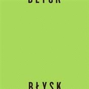 Książka : Błysk (Vin... - Hey