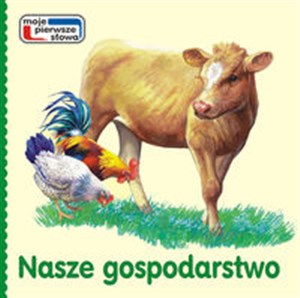 Obrazek Nasze gospodarstwo