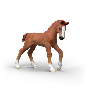 Obrazek Źrebak Ruby