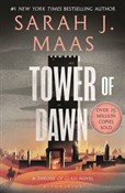 Tower of D... - Sarah J. Maas -  polnische Bücher