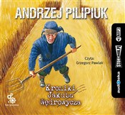 Polnische buch : [Audiobook... - Andrzej Pilipiuk