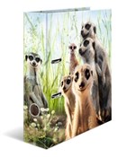 Książka : Segregator...