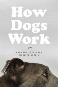 Obrazek How Dogs Work