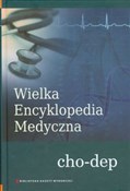Wielka Enc... -  polnische Bücher