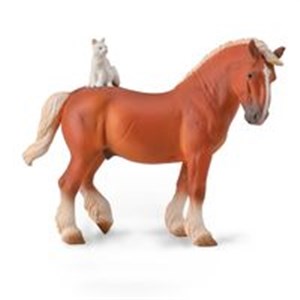 Bild von Draft Horse with cat