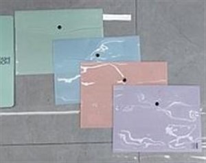 Bild von Teczka A4 plastikowa zapinana (12szt)