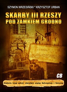 Bild von Skarby III Rzeszy pod zamkiem Grodno Historia dzieł sztuki odkrytych między Wałbrzychem i Świdnicą