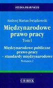 Polnische buch : Międzynaro... - Andrzej Marian Świątkowski