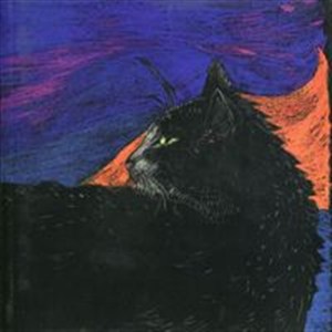 Bild von Notes Kot wieczorowy