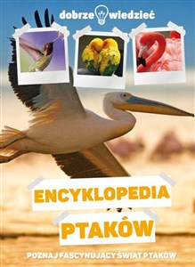 Obrazek Encyklopedia ptaków Dobrze wiedzieć Poznajesz fascynujący świat ptaków