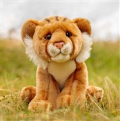 Polnische buch : Pluszowy l...