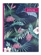 Zobacz : Terminarz ...