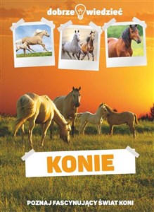Obrazek Konie Dobrze wiedzieć Poznaj fascynujący świat koni
