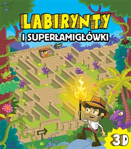 Bild von Labirynty i superłamigłówki
