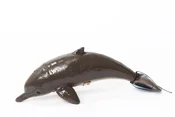 Zobacz : Delfin 21c...