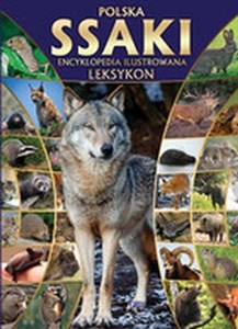 Bild von Polska ssaki encyklopedia ilustrowana leksykon