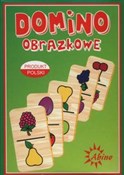 Domino obr... -  polnische Bücher