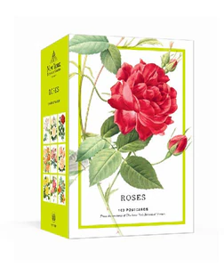 Bild von Roses