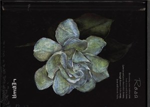 Obrazek Notes szkicownik A6 Róża