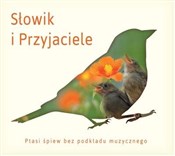 Zobacz : Słowik i p... - Dźwięki natury