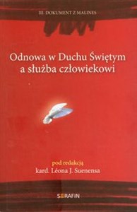 Obrazek Odnowa w Duchu Świętym a służba człowiekowi