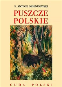 Obrazek Puszcze polskie