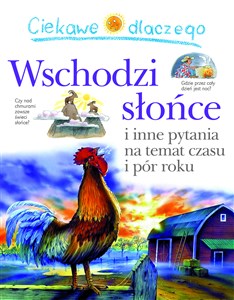 Obrazek Ciekawe dlaczego wschodzi słońce