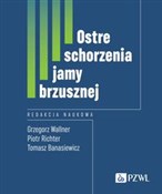 Ostre scho... - Grzegorz Wallner, Piotr Richter, Tomasz Banasiewicz -  fremdsprachige bücher polnisch 