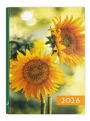 Terminarz ... - buch auf polnisch 