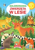 Kolorowank... - Jarosław Żukowski -  polnische Bücher