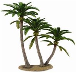 Obrazek Drzewo palmowe
