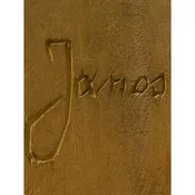 Polnische buch : Janos - Beata Zalot, Joanna Daranowska-Łukaszewska, Jacek Kubiena