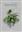 Bild von Zielonym do góry Nowoczesne pomysły na rośliny we wnętrzu
