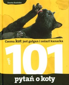 Bild von 101 pytań o koty Czemu kot jest gałgan i zeżarł kanarka