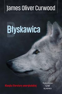 Obrazek Błyskawica