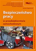 Polnische buch : Bezpieczeń... - Dariusz Stępniewski