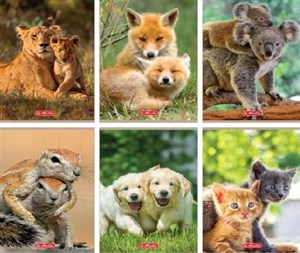 Obrazek Zeszyt A5/32K kratka z marginesem Animals (10szt)