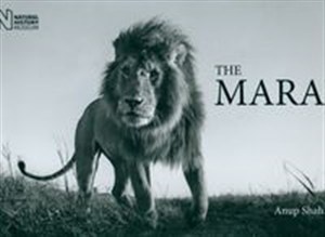 Bild von The Mara