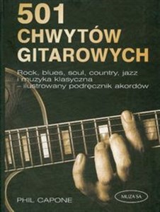 Obrazek 501 Chwytów gitarowych