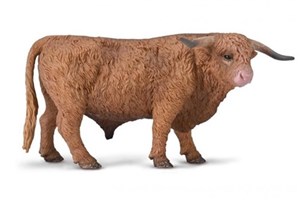 Obrazek Byk szkockiej rasy wyżynnej