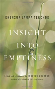 Bild von Insight into Emptiness