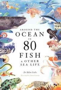 Bild von Around the Ocean in 80 Fish and other Sea Life