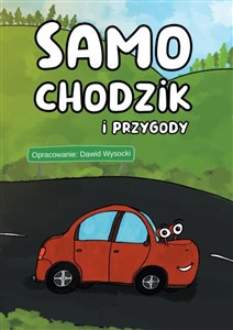 Obrazek Samochodzik i przygody