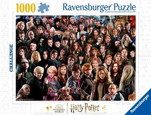 Obrazek Puzzle 1000 Challenge. Harry Potter