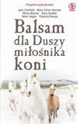 Balsam dla... - Jack Canfield, Mark Victor Hansen -  polnische Bücher