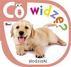 Bild von Co widzę słodziaki